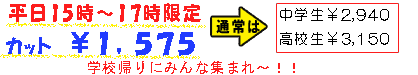 ����15���`17������@�J�b�g��1,575